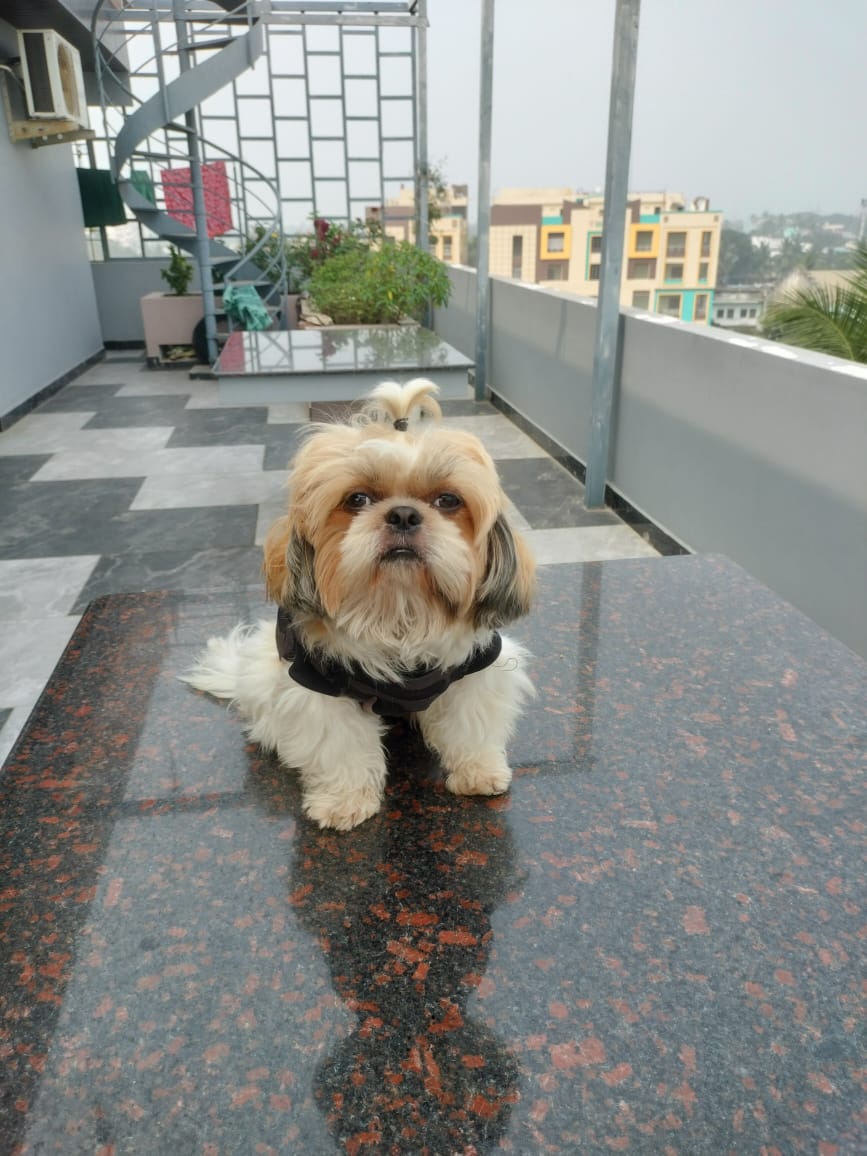 Rio, Founder of Cozycove